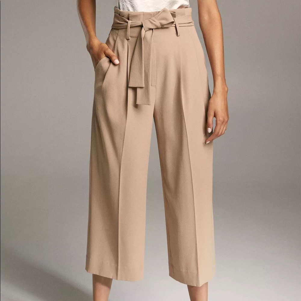 Aritzia Culotte Pant
